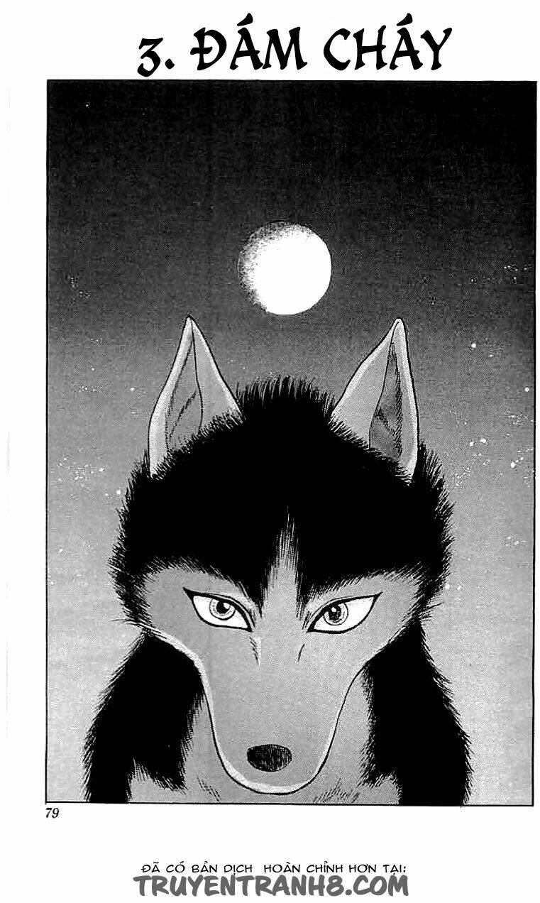 wild half chapter 3 1