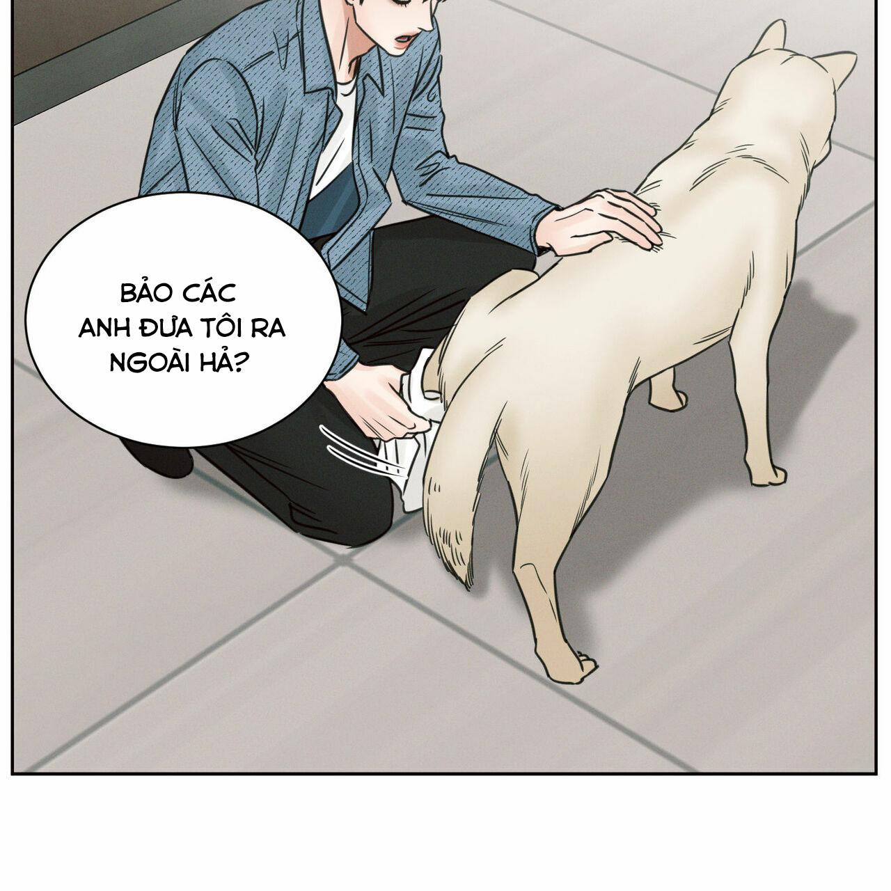 Dù Anh Không Yêu Em chapter 67