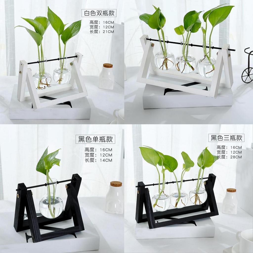 Vintage Glass Tabletop Hydroponic Flower Vase