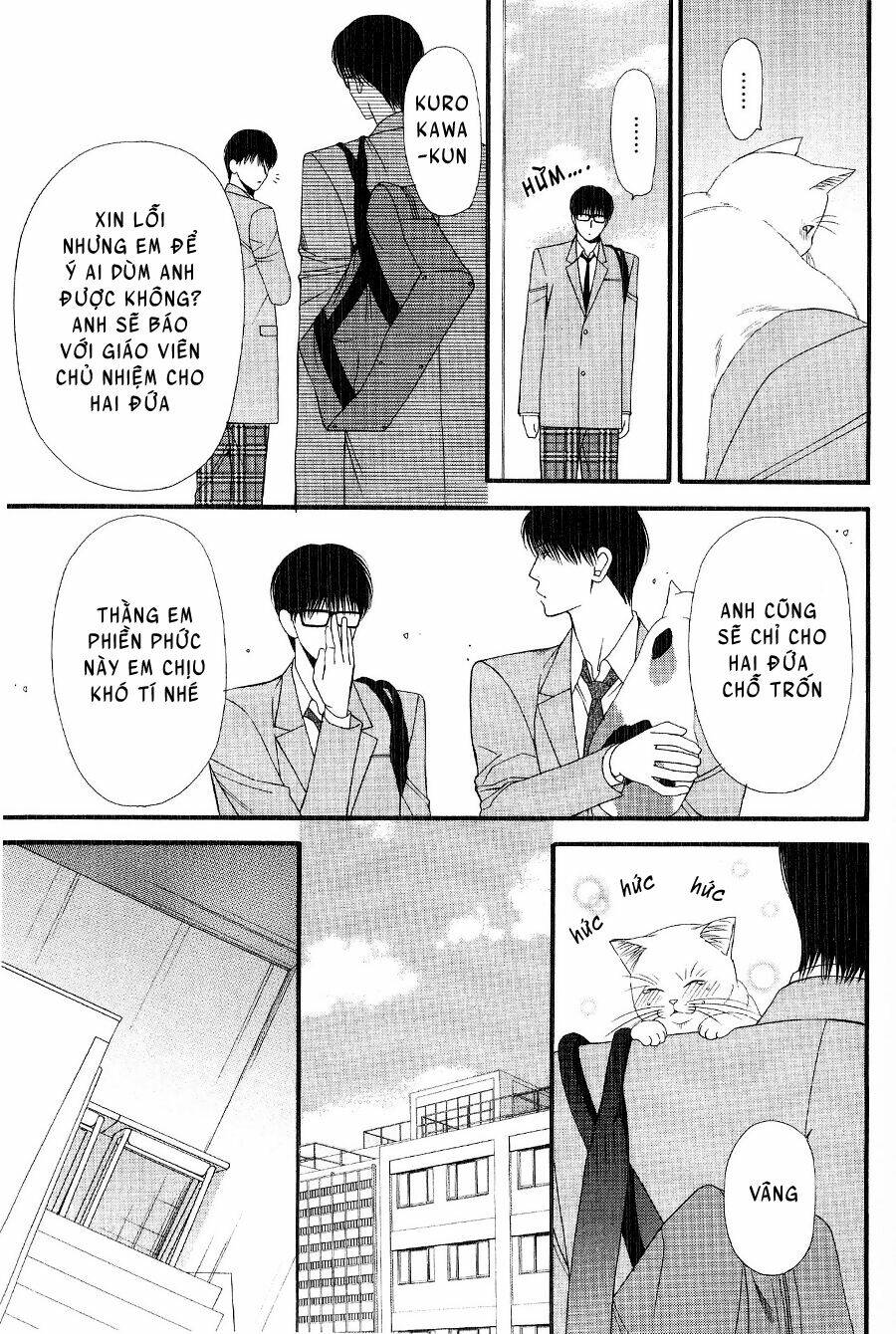 neko neko honey chapter 12 11