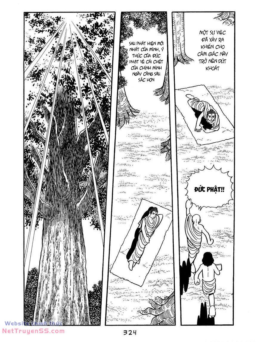 buddha - truyền thuyết đức phật chapter 69 4