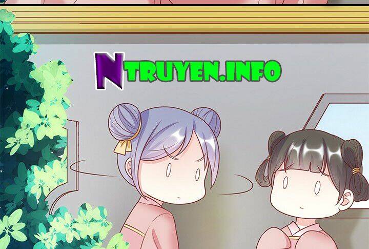 đô đốc đại nhân sủng thê kí chapter 7.2 50