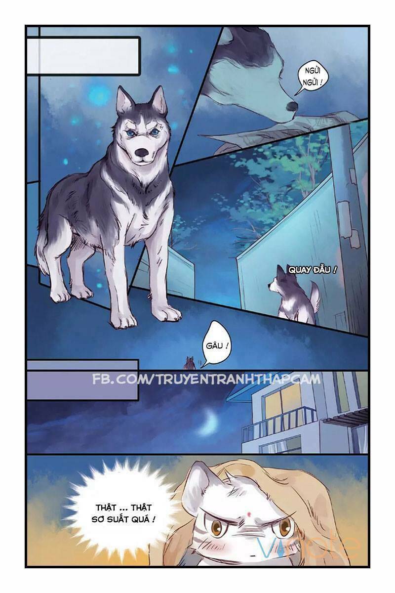 ách xá - yashe chapter 11 19