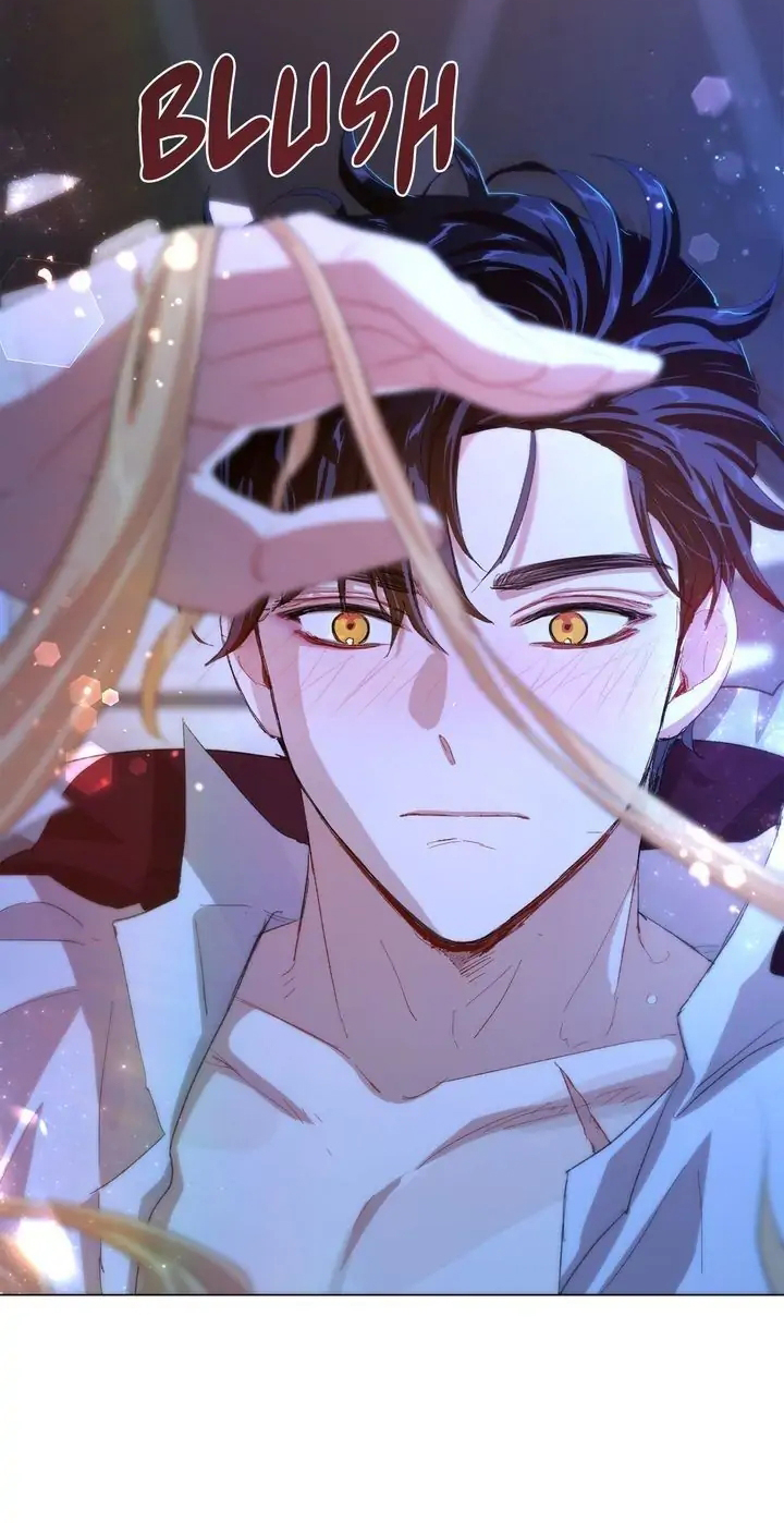 tôi là fan cứng hoàng tử chapter 65.1 12