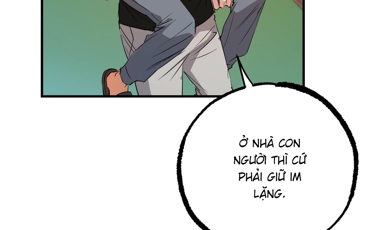 những chú thỏ của hapypy chapter 53 132