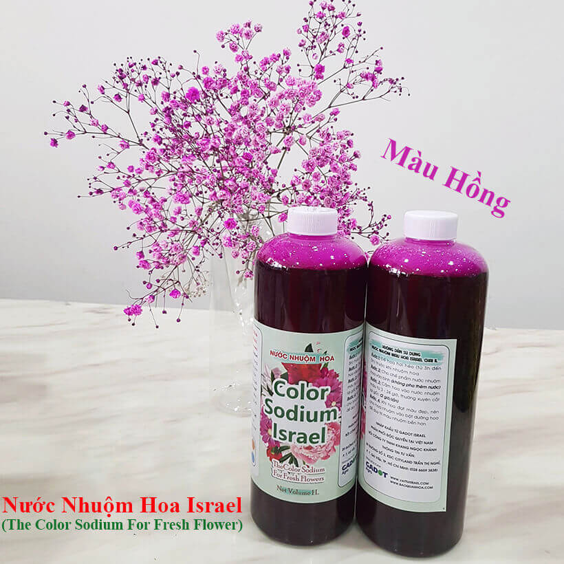 Dung Dịch Nhuộm Hoa Cắt Cành Đổi Màu theo Công Nghệ Israel giúp hoa nhuộm đổi màu theo ý muốn – The Color Sodium for Fresh Flowers