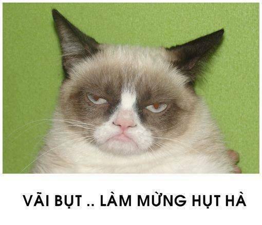 tấm cám phiên bản mèo chapter 1 11