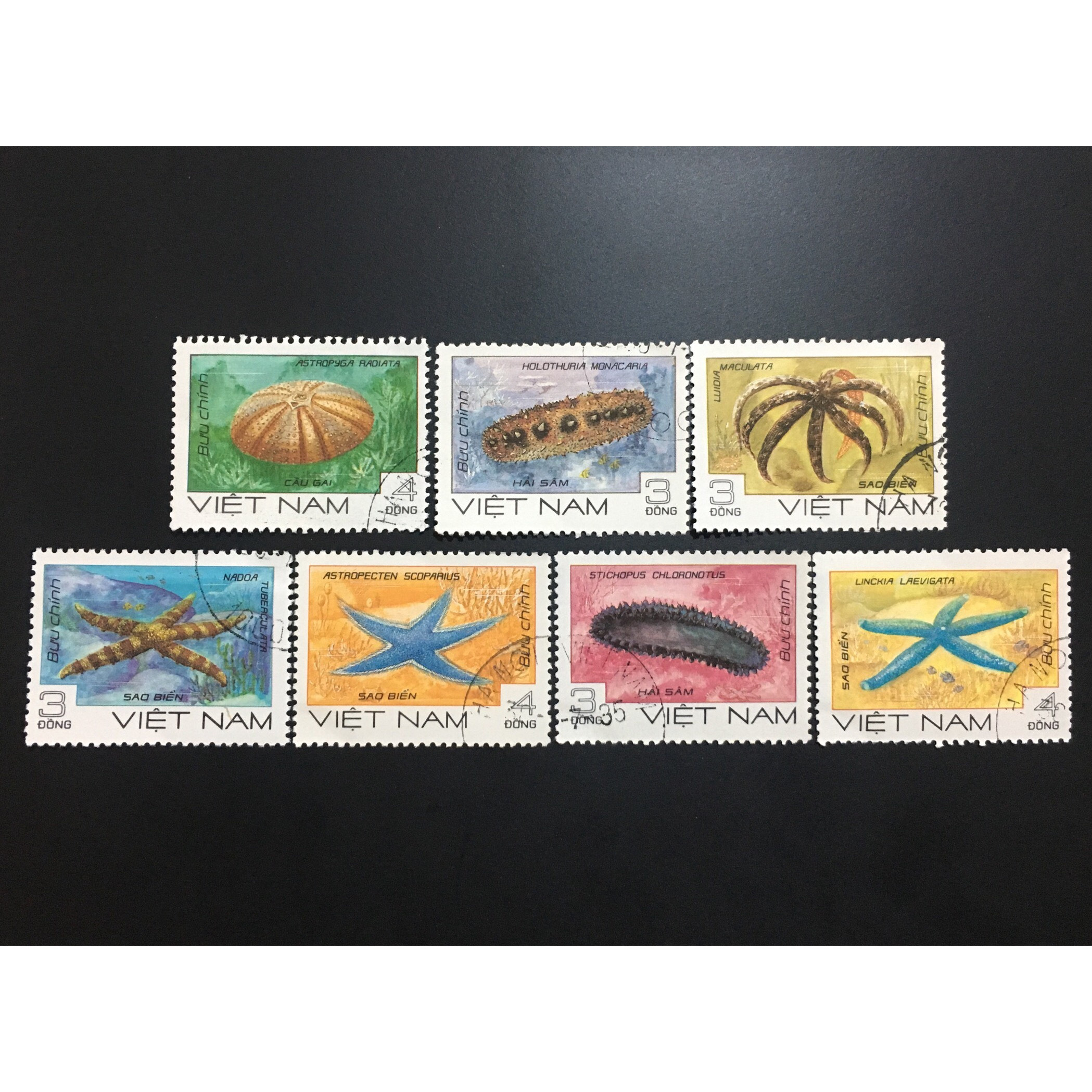 Bộ Tem Sưu Tầm Việt Nam Chủ Đề Các Loài Sinh Vật Biển - 7 Con Stamps