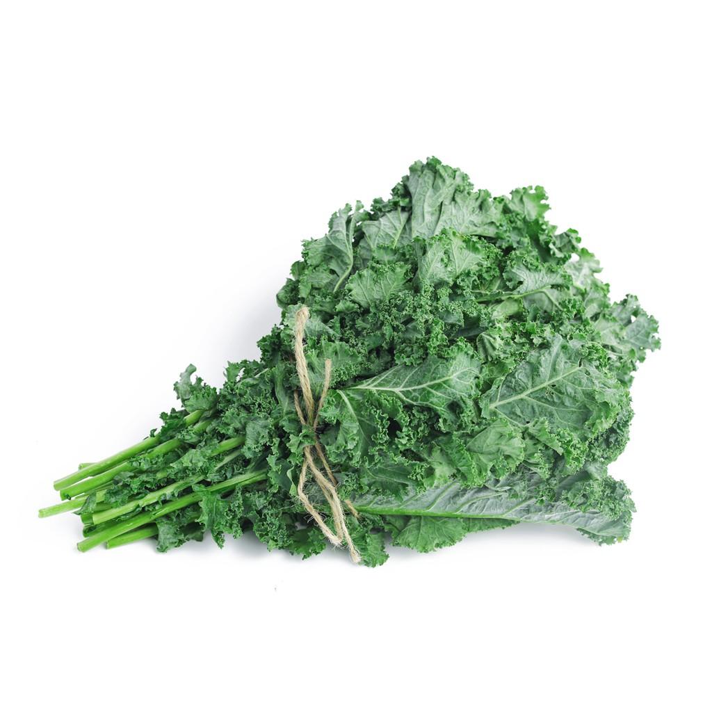 Hạt Giống Cải Xoăn Kale