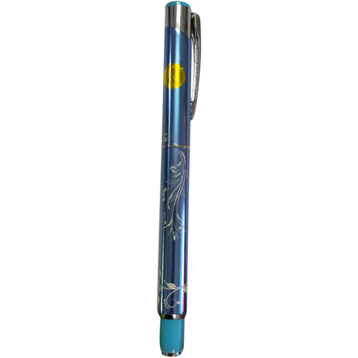 Bút Máy Thầy Ánh SH-035 (Ngòi thường) - Giao màu ngẫu nhiên