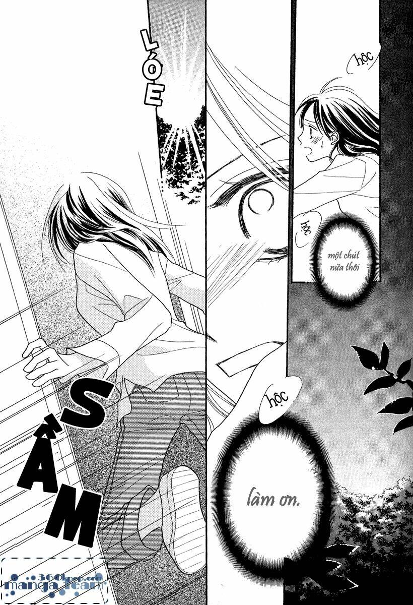 khúc hát hoa mặt trời chapter 2 26