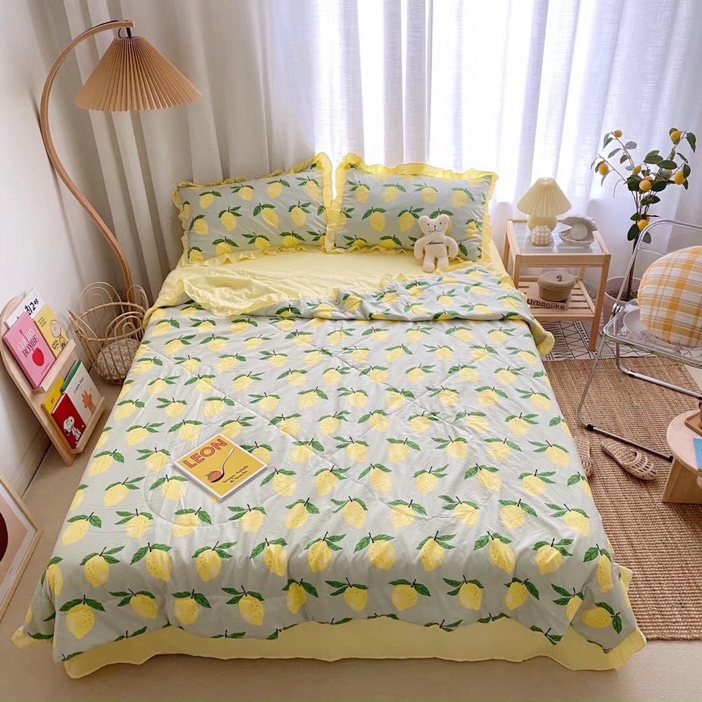 Bộ Chăn Ga Gối Cotton Đũi Bèo 4 Món Chăn Chần Hè Mẫu Mới Nhất