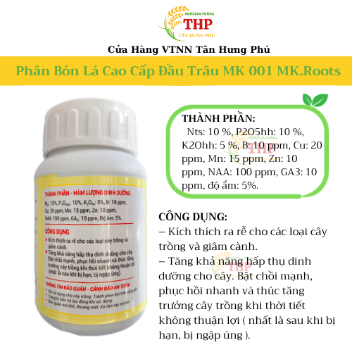 COMBO LÁ TO THÂN MẬP | CHUYÊN RAU ĂN LÁ | COMBO CHĂM SÓC CÂY