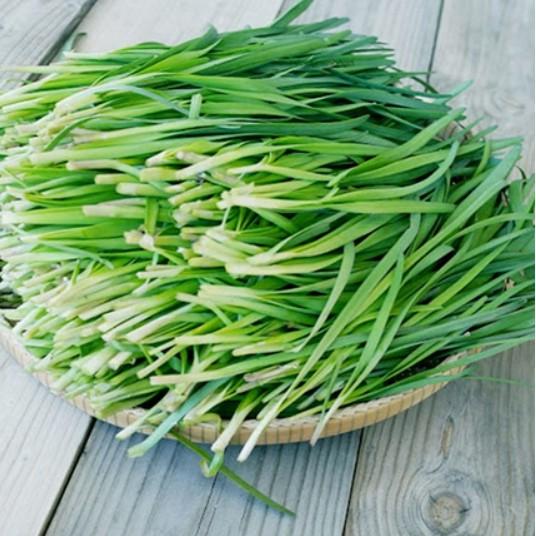 5gr hạt hẹ ta cao sản