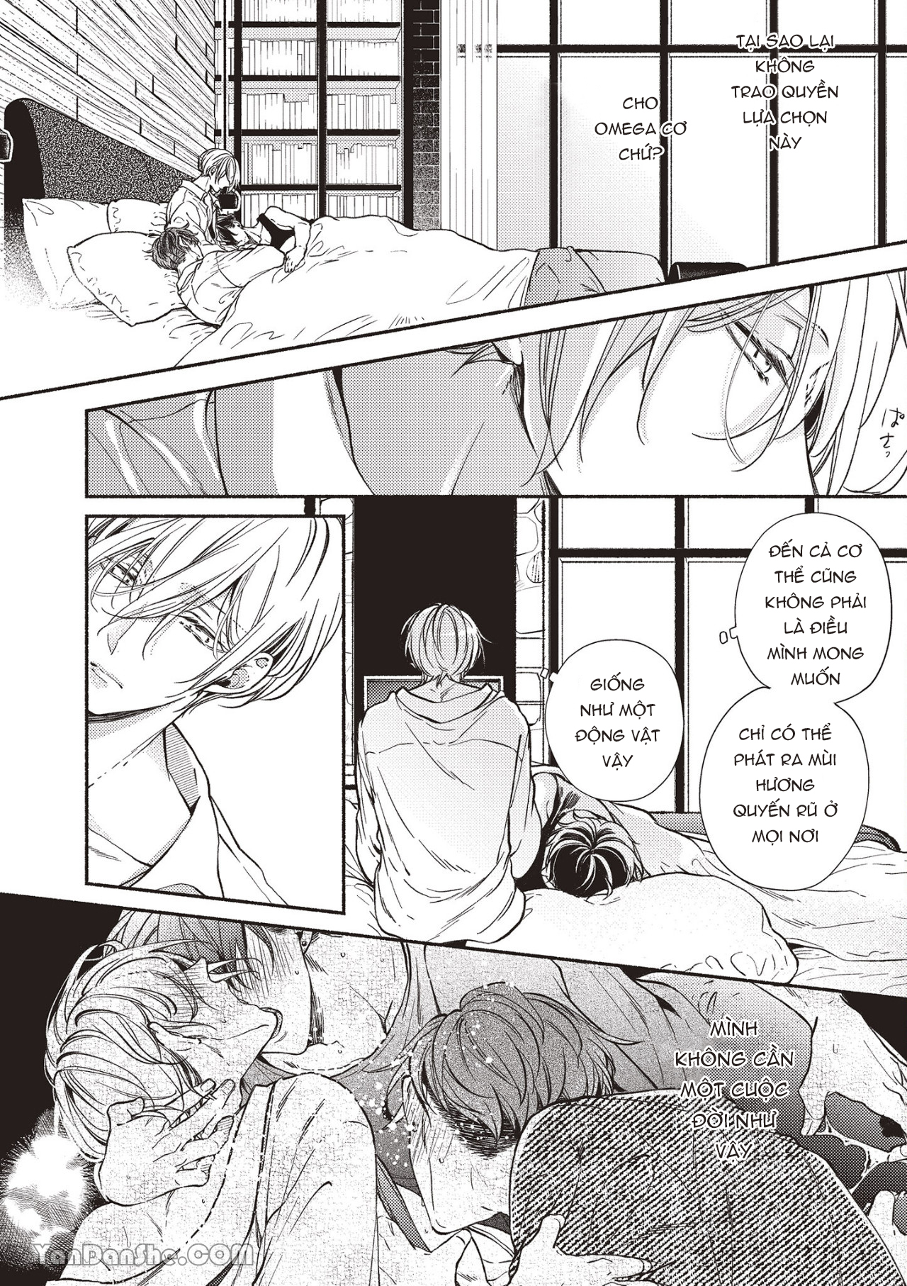 omega mạnh mẽ là bạn đời của chúng tôi chapter 2.1 2