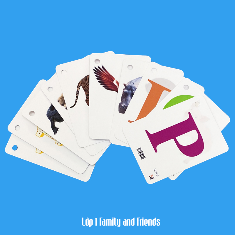 Flashcard Tiếng Anh Family and Friends lớp 1, có phát âm, hình ảnh sinh động