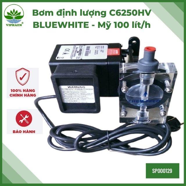 Bơm định lượng hóa chất BLUEWHITE C6250HV Mỹ 100 lít/giờ