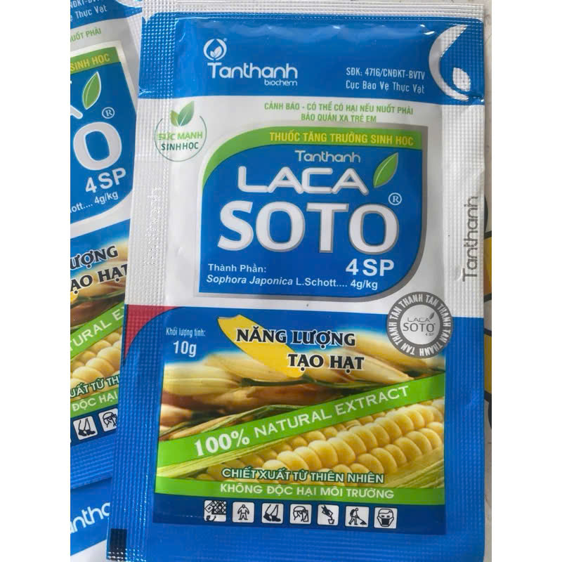LACA SOTO 4SP của TÂN THÀNH Chắc cậy đầy bông, xanh lá đồng, tăng năng suất