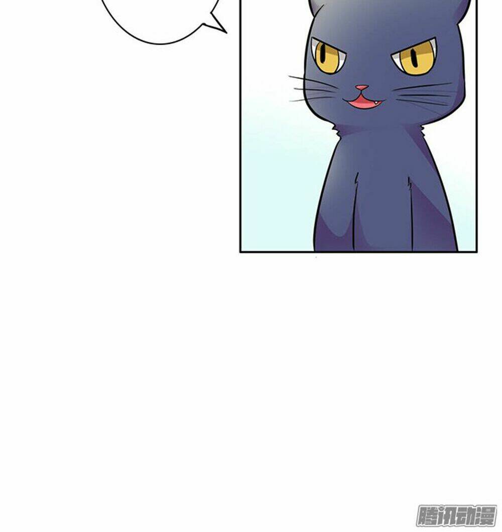 hai chú mèo totem chapter 6 7