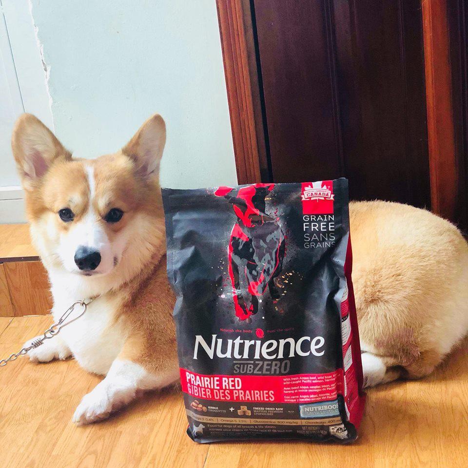 Thức Ăn Hạt Cho Chó Corgi - Nutrience Subzero Da Lông Bóng Mượt Bao 500g - 6 Loại Thịt Cá, Rau Củ, Trái Cây