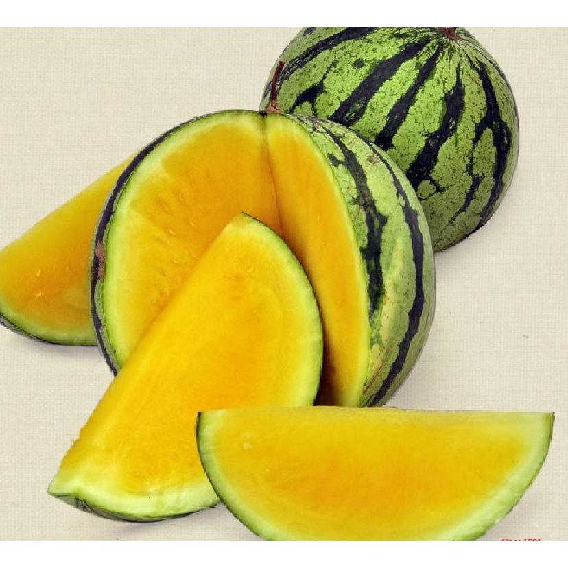 Hạt giống dưa hấu ruột vàng F1 KNS3342 - Gói 10 hạt