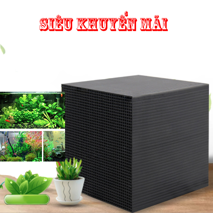 Than Hoạt Tính Kiêm Miếng Lọc Bể Hình Lập Phương