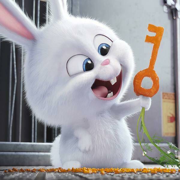 pochi kuro chapter 16 18