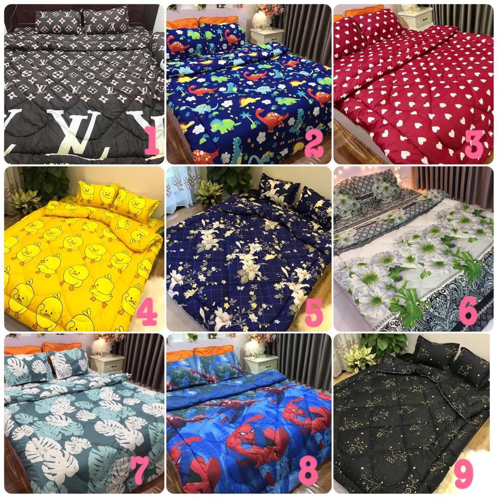 Bộ chăn phao ga gối poly cotton,được chọn mẫu,doremon ôm đàn
