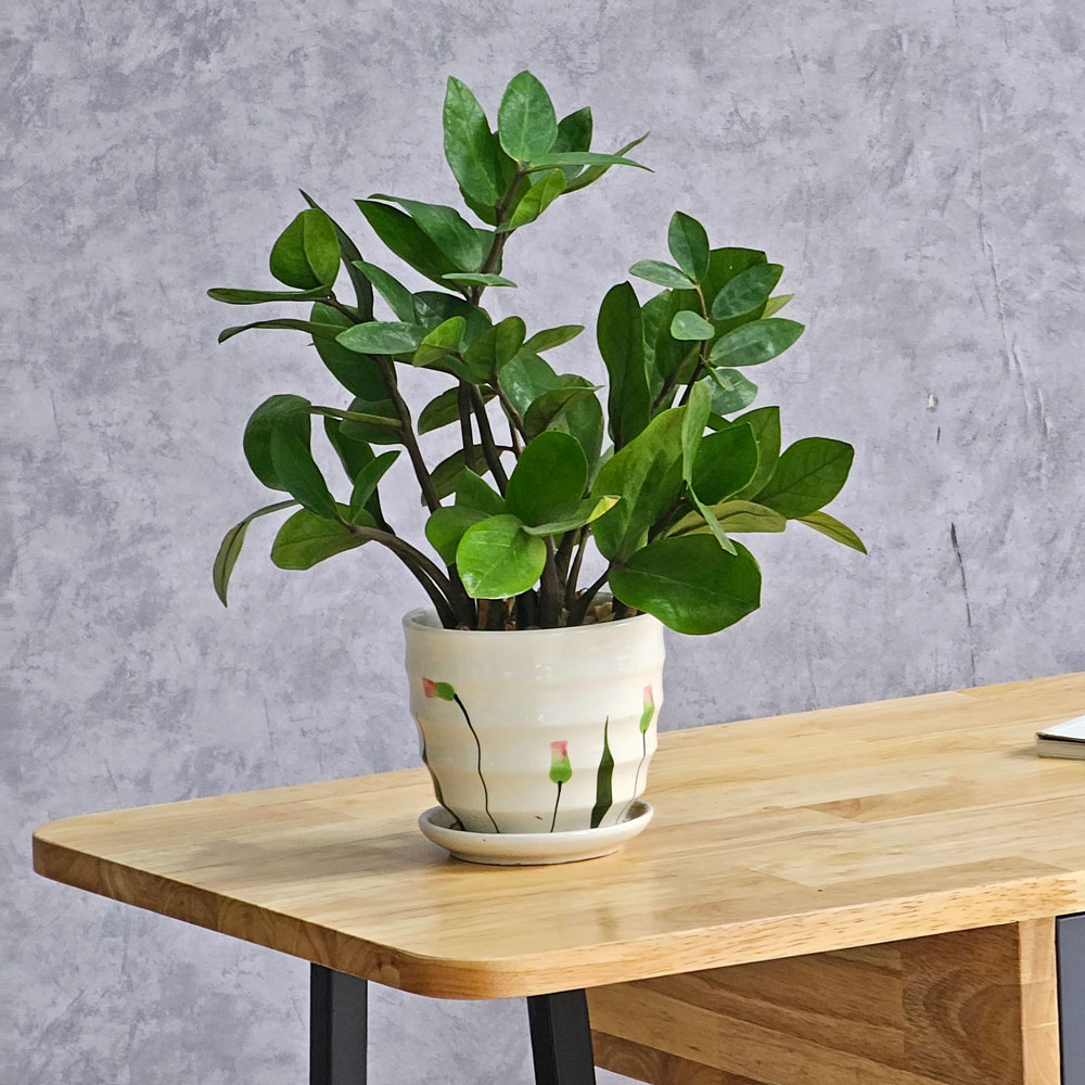 Bàn console có ngăn kéo gỗ cao su Juno sofa CSTCT069 120x40x85 cm