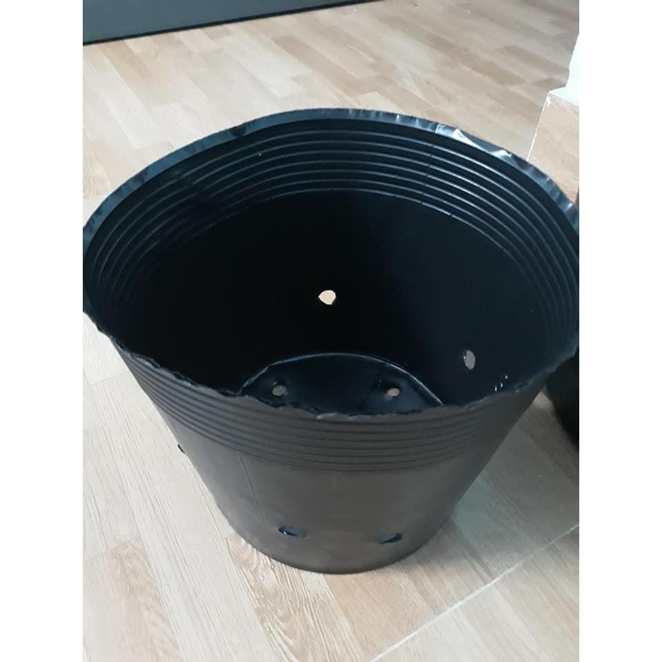 Bầu ươm cây 26x21a 1kg 50 bầu