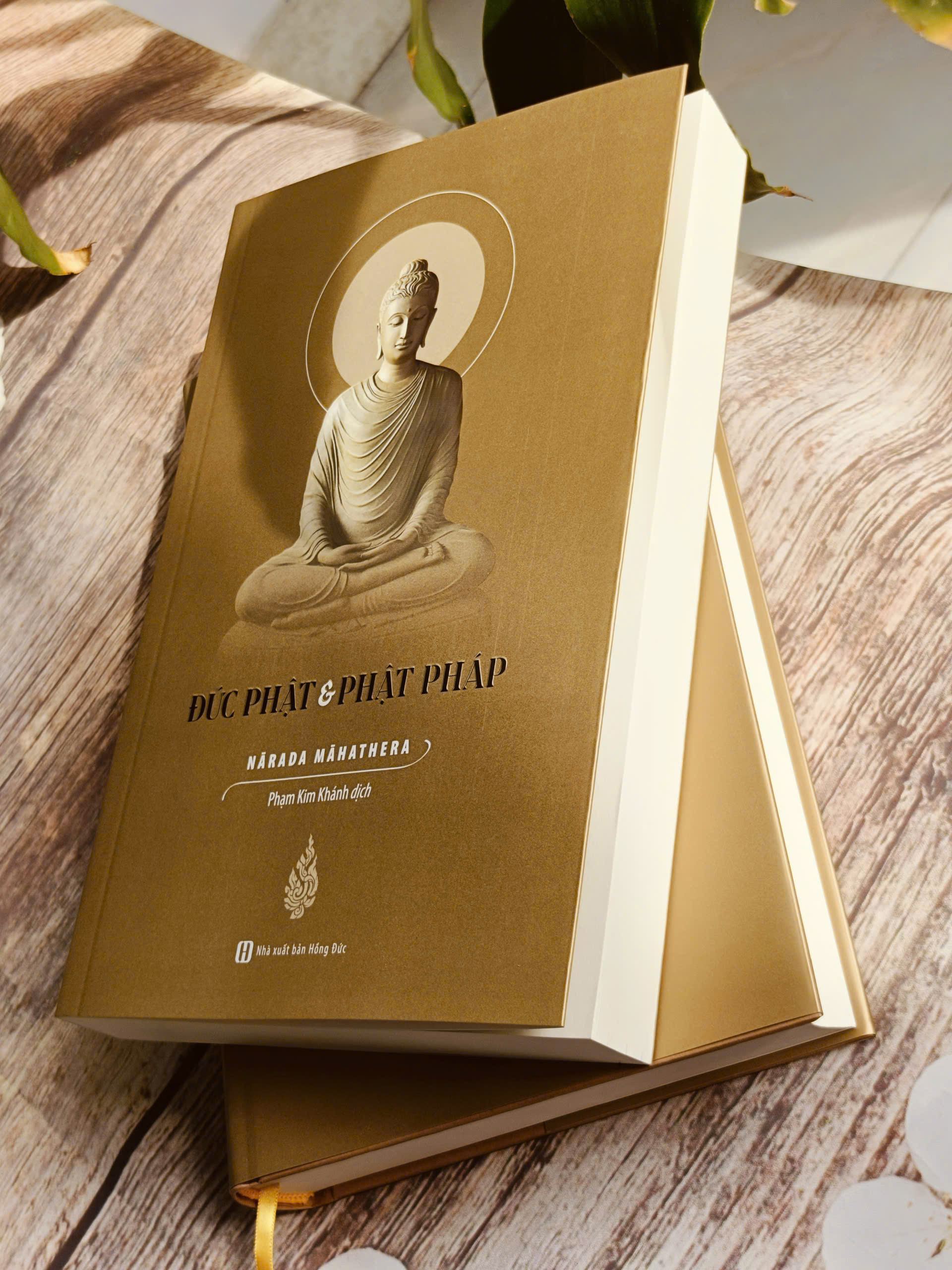 Đức Phật và Phật Pháp (bìa mềm)