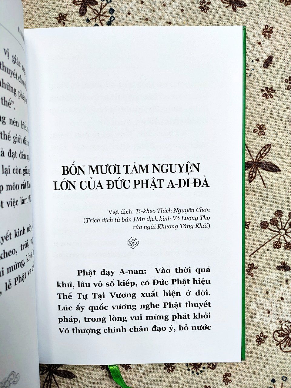 [Bản cao cấp] Kinh Địa Tạng Bồ Tát Bổn Nguyện + Kinh A Di Đà - Bốn Mươi Tám Nguyện - Kệ Nguyện Sinh (Bìa cứng)