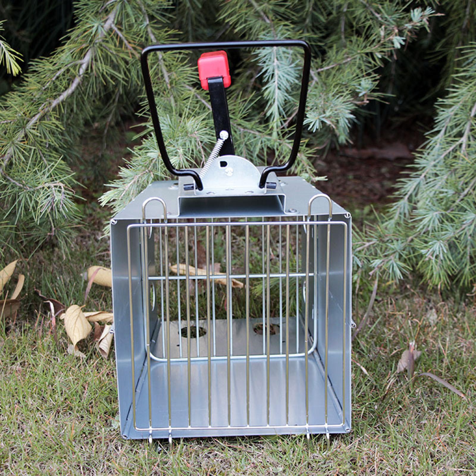 BBQ Charcoal Chimney Starter Camping Quick Grill Lighter Compact Foldable