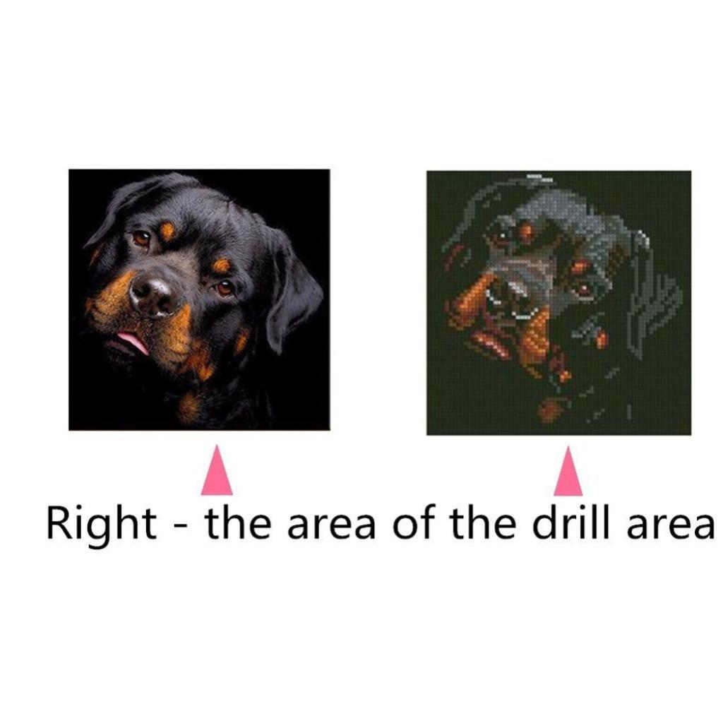 DIY Diamond Painting Kit Full Black Dog 5D Rhinestone Embroidery Home Decor
