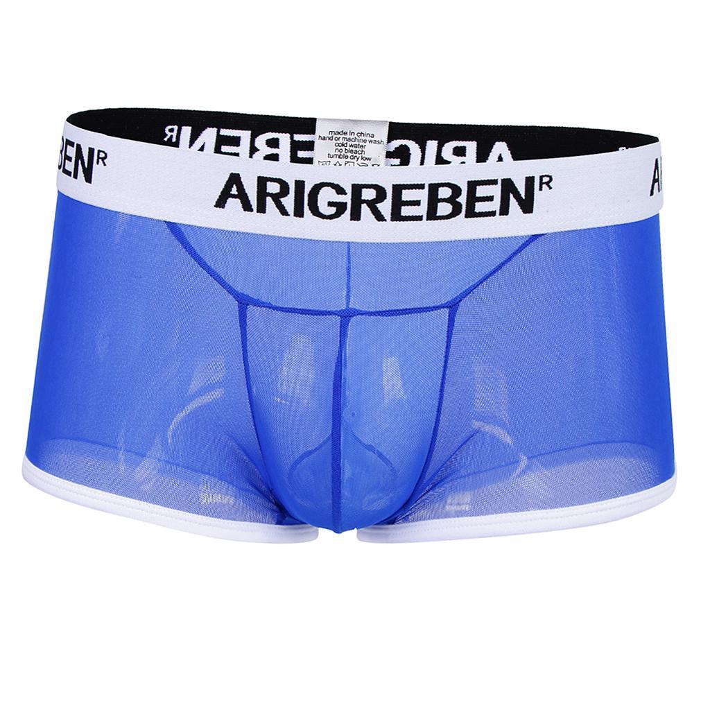 Men Mesh Underwear Thong Bikini Briefs Knickers Soft Sleepwear Swimsuit - Blue, L