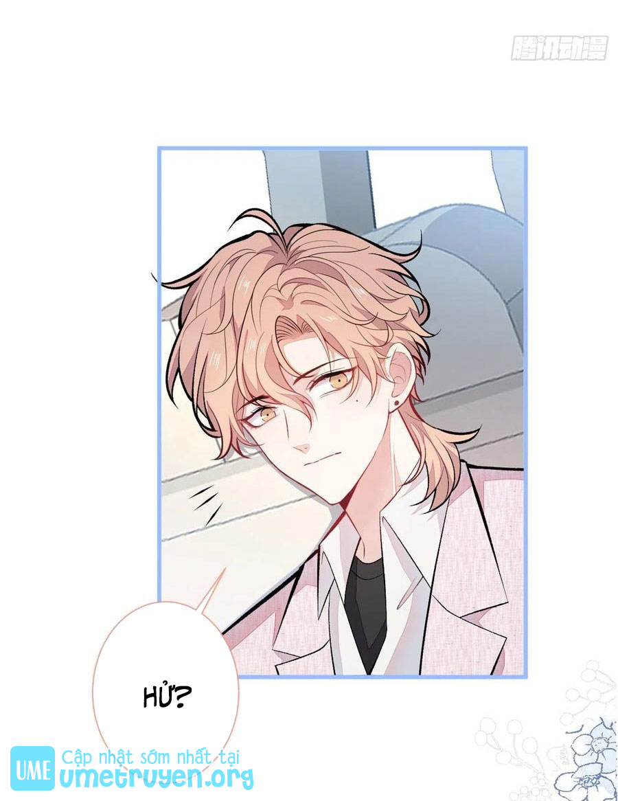 lại bị nam thần chọc trên hot search! chapter 95 19