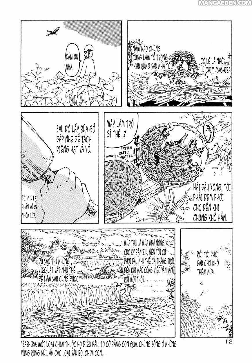 little forest chapter 18 6