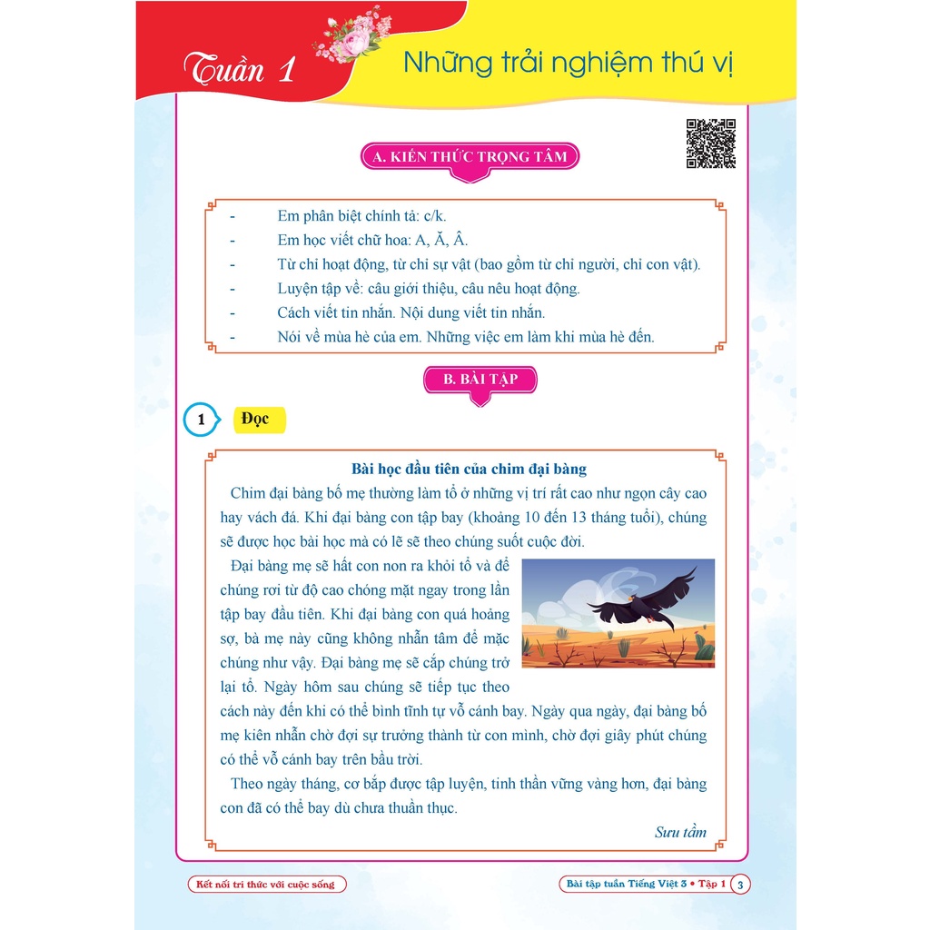 Sách - Combo Bài Tập Tuần và Đề Kiểm Tra Tiếng Việt Lớp 3 - Học Kì 1 - Kết Nối Tri Thức Với Cuộc Sống