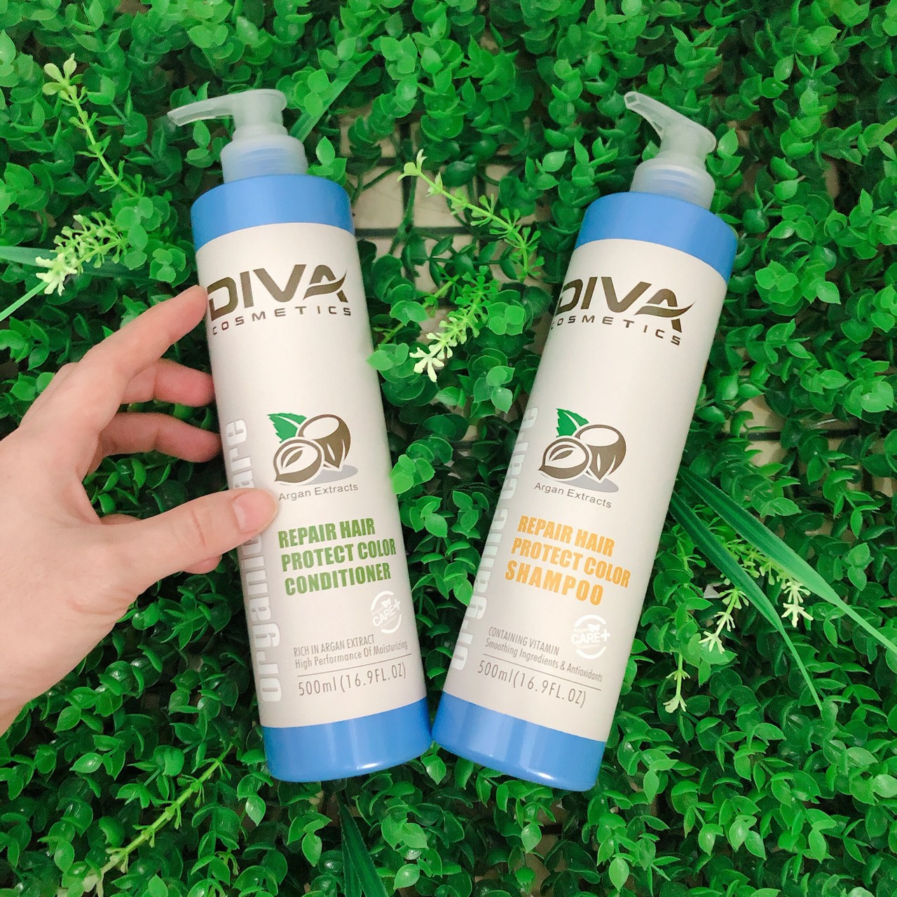 Bộ GỘI - XẢ phục hồi và giữ màu Diva (500 ML)