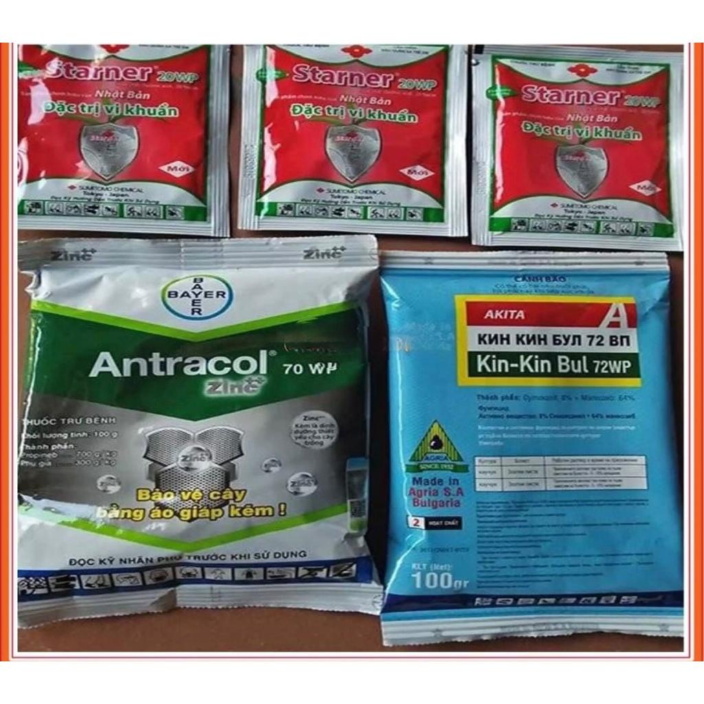Bộ 3 SẢN PHẨM CHỐNG THỐI NHŨN, VI KHUẨN TRÊN PHONG LAN 3 STARNER + 1 ANTRACOL +1 KIN-KIN BUL