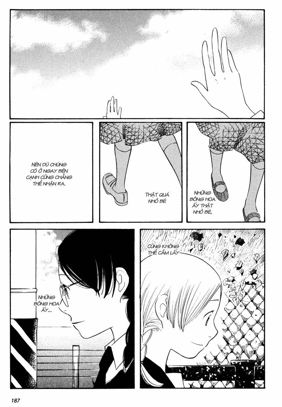 hoa hồng tím ngọt ngào chapter 7 23