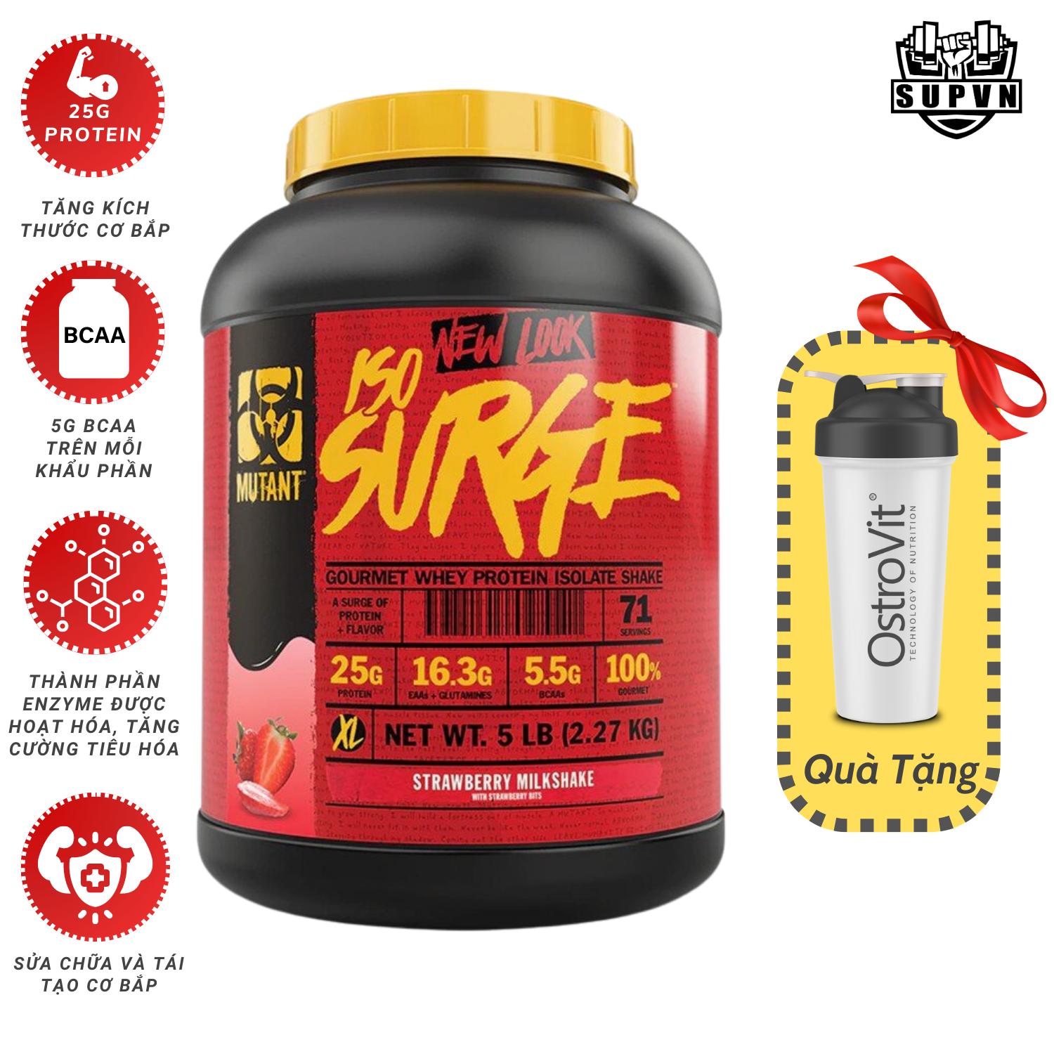 Iso Surge 5lbs - Sữa tăng cơ Whey Protein Iso Surge