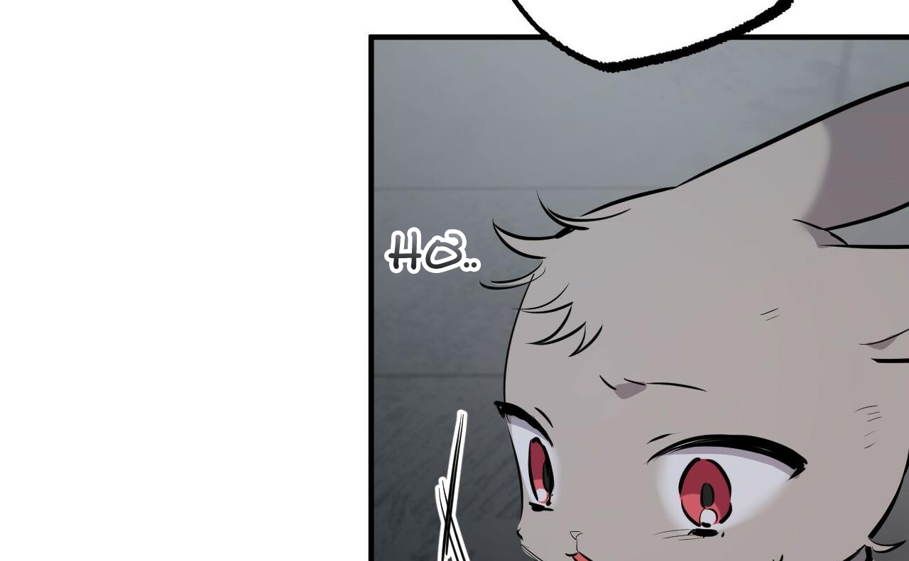 đàn thỏ của habibi chapter 46 143