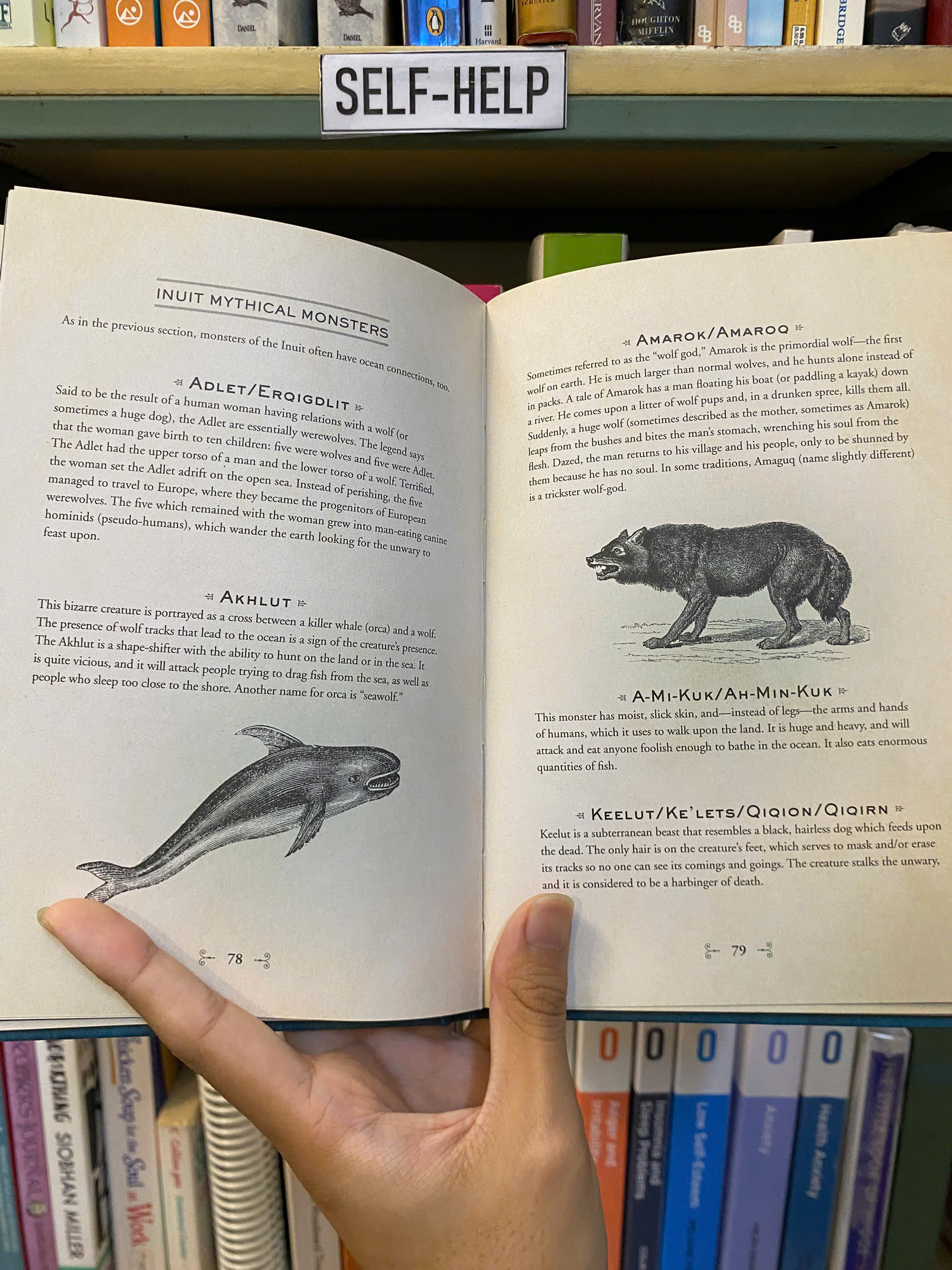 Sách - SUPERSTITIONS: Handbook of Folklore, Myths and Legends From Around The World by D.R. McElroy