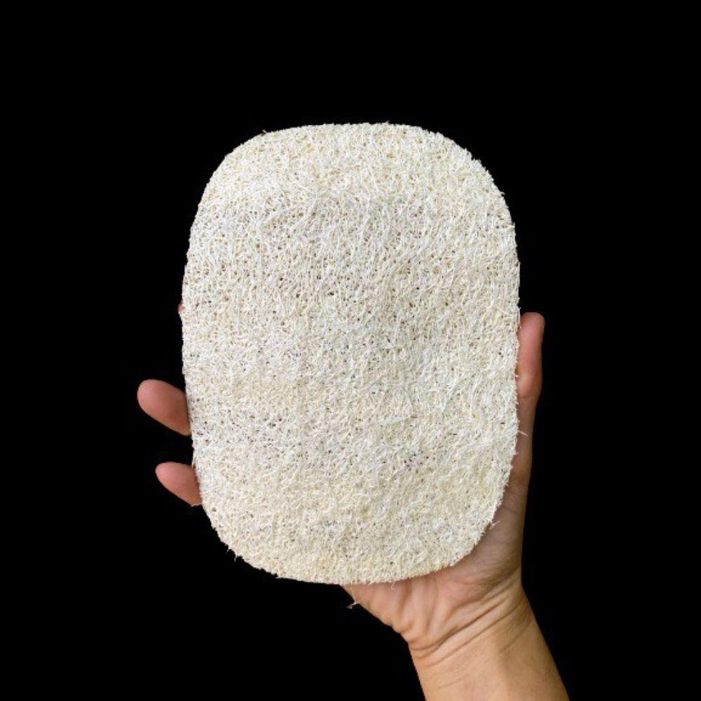 Miếng Thay Cây Chà Lưng Xơ Mướp Chuyên Dụng Cho Cây Chà Lưng Xơ Mướp Vi Lâm