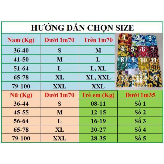 Bộ hoa quả - Hoa hướng dương