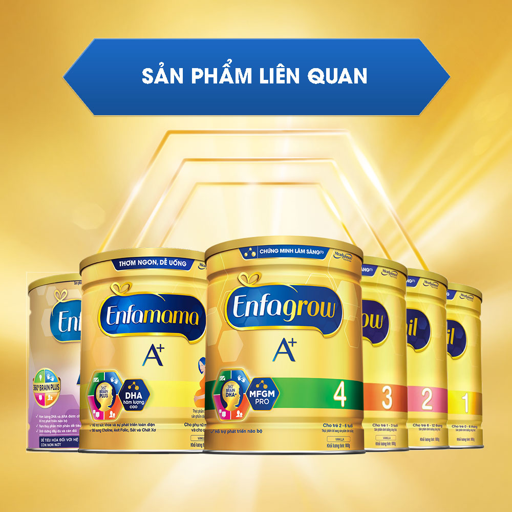 Sữa Bột Enfamil A+ 2