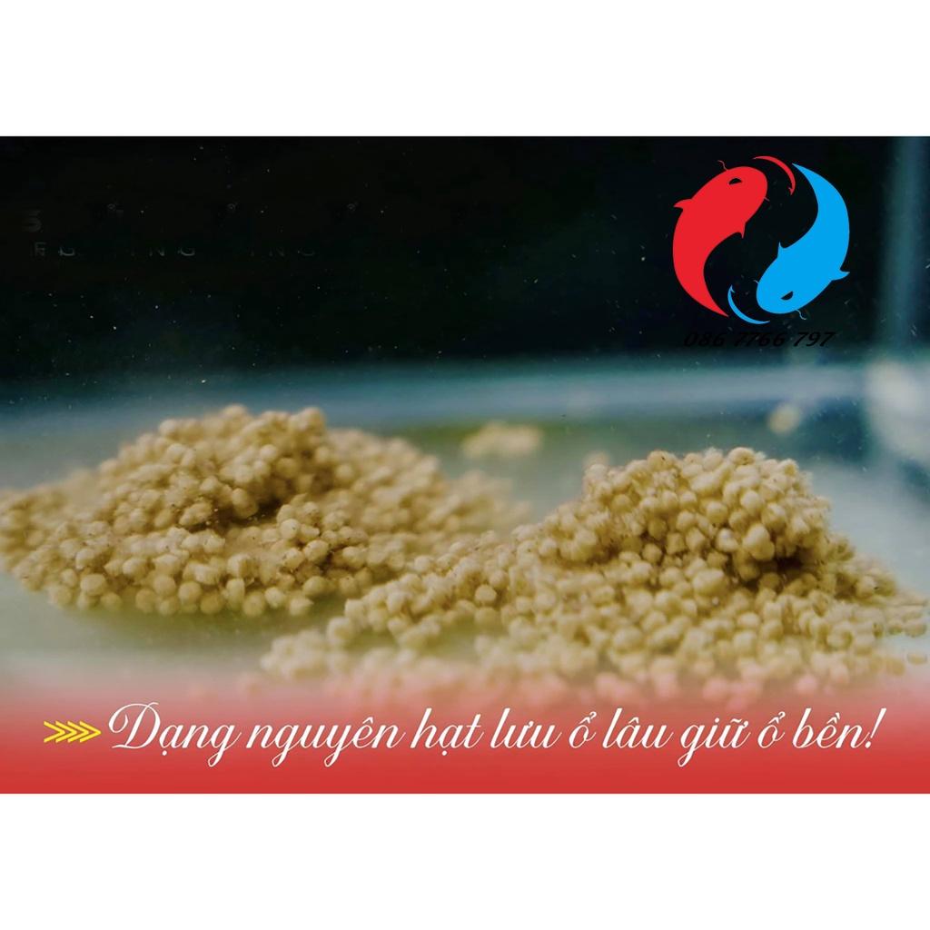 Mồi Câu Chép Hạt SaPham Fishing Giá Chuẩn Gói 500g - KhoaHuyen Fishing