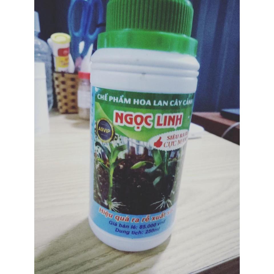 CHẾ PHẨM NGỌC LINH A9VIP cho HOA LAN CÂY CẢNH SIÊU RA RỄ CỰC MẠNH