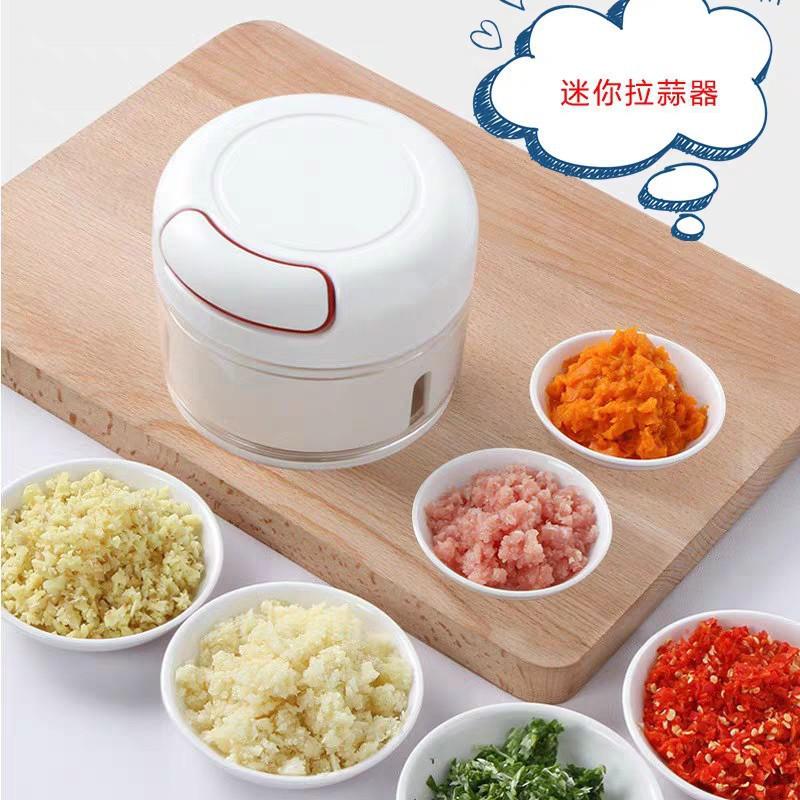 Máy xay hành tỏi, nhỏ gọn